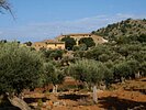 FINCA / HISTORIC FARM SERRA TRAMONTANA
